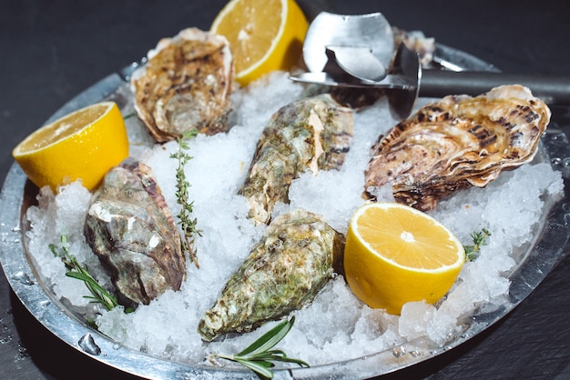 Oysters on stone plate with ice and lemon.