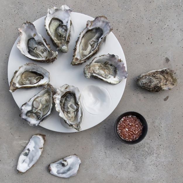 Oysters on white plate top view