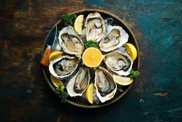 Oysters with lemon and parsley on ice On a dark stone background Free space for your text Seafood Flat lay