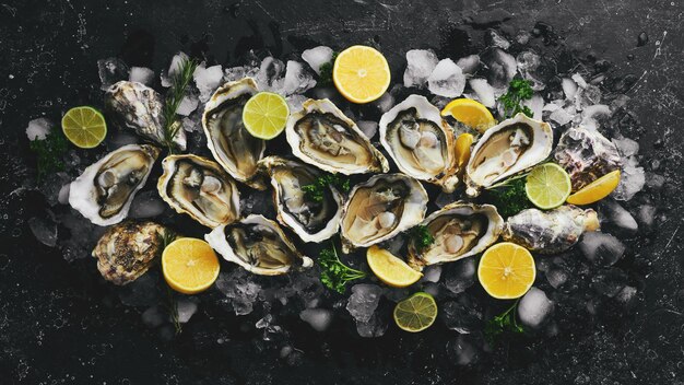 Oysters with lemon and parsley on ice On a dark stone background Free space for your text Seafood Flat lay