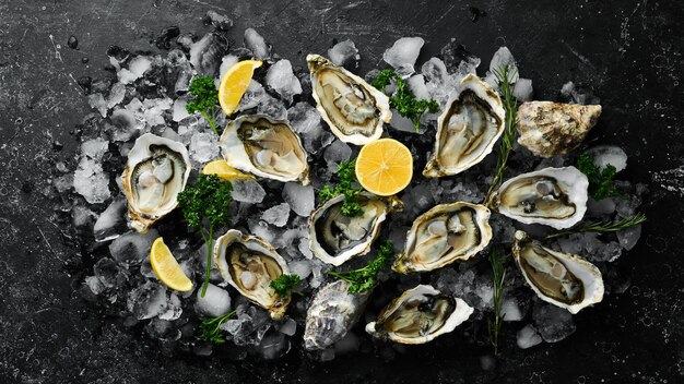 Oysters with lemon and parsley on ice On a dark stone background Free space for your text Seafood Flat lay