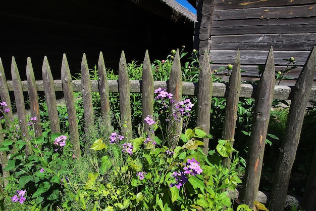 Ozertso Village in Belarus country