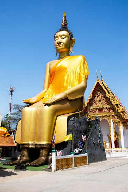 Pa Lelai buddha statue or Buddha receiving food offerings from elephant monkey for thai people respect praying at Wat See Roy or Si Roi temple at Wiset Chai Chan on June 6 2023 in Ang Thong Thailand