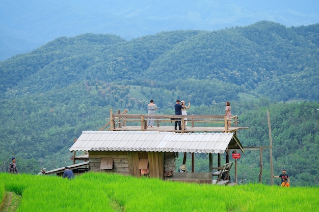 写真 タイのチェンマイ北部にあるパポンピアン棚田。