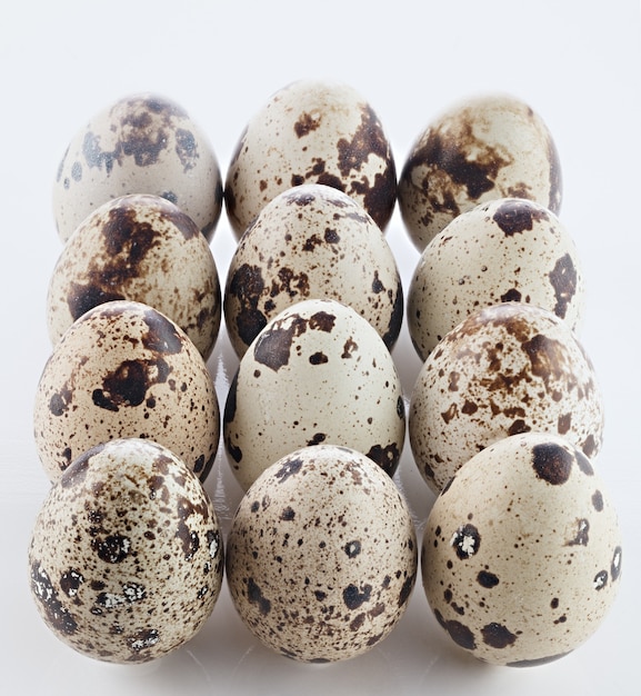 PA set of quail eggs on a white surface