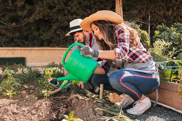 Foto paar dat de installaties in de binnenlandse tuin tuiniert