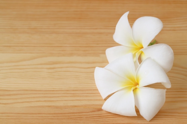 Paar Frangipani bloemen op houten achtergrond met kopie ruimte