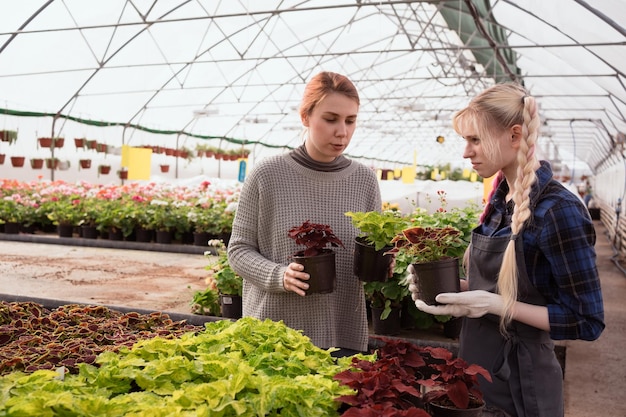 Paar gelukkige vrouwen die planten kiezen in de kas van het tuincentrum