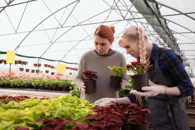 paar gelukkige vrouwen die planten kiezen in de kas van het tuincentrum