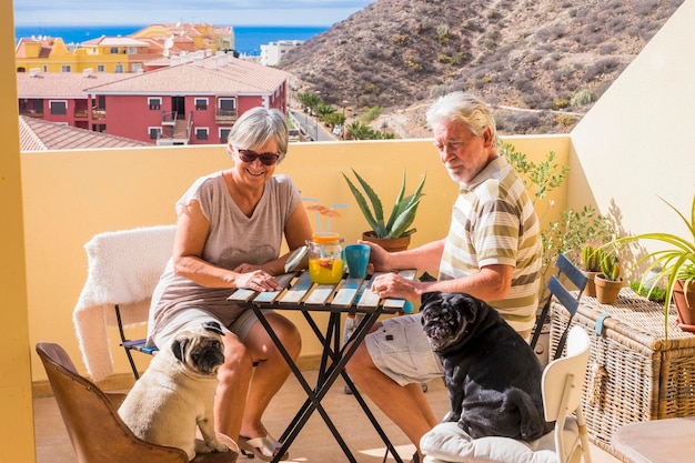 Paar oude heren en dame drinken samen vruchtensap op dakterras met twee grappige pug dog onder het zonlicht geweldig uitzicht op de oceaan voor geweldig gepensioneerd concept