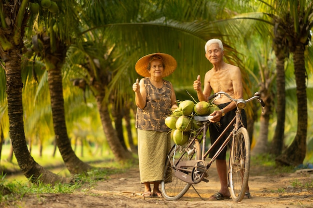 Paar van de Oude dagman en vrouw die kokosnoot in kokosnotenlandbouwbedrijf verzamelen in Thailand.