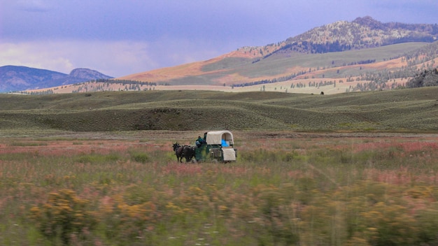 Paard wagen op het veld door de bergen tegen bewolkte hemel tijdens de zonsondergang