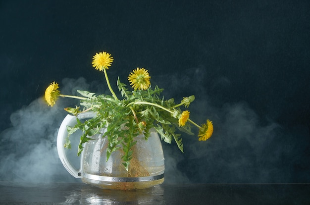 Paardebloem met wortels en bladeren in een glazen theepot op een donkere in rook