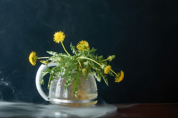 Paardebloem met wortels en bladeren in een glazen theepot