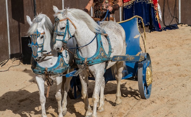 paarden en strijdwagens van Romeinse gladiatorengevechten, representatie