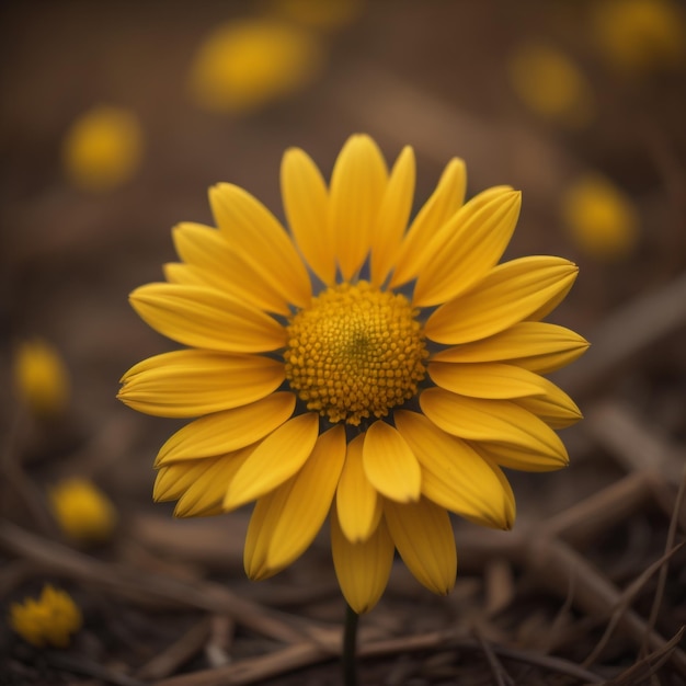 paardenbloem