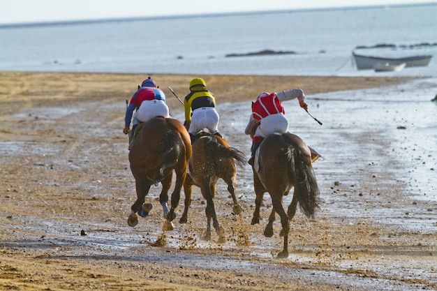 Paardenkoers op Sanlucar van Barrameda, Spanje