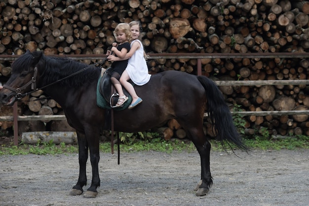 Paardentherapie, recreatieconcept