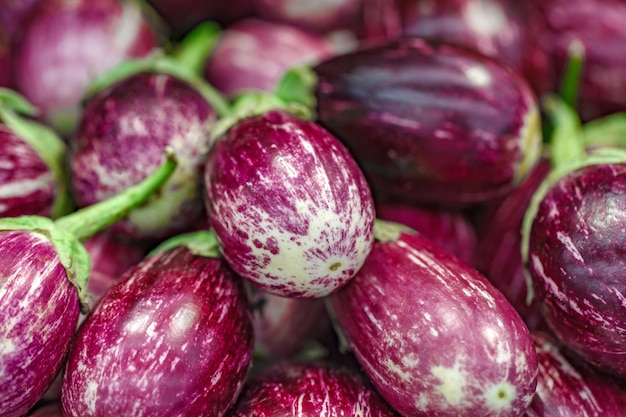Paarse aubergine geheel in bulk op selectieve focus van de supermarkt