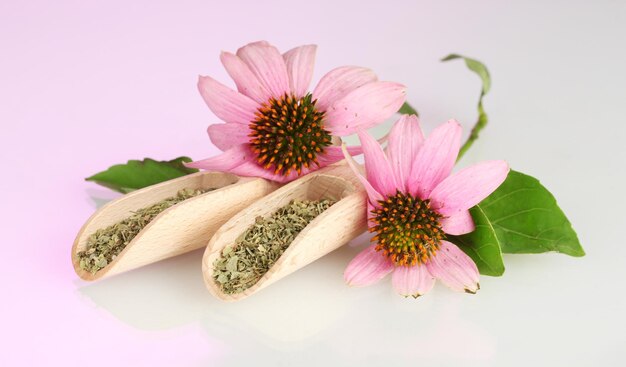 Paarse echinacea bloemen en gedroogde kruiden op roze achtergrond