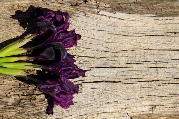 Paarse iris bloemen op houten achtergrond met kopie ruimte. Bovenaanzicht