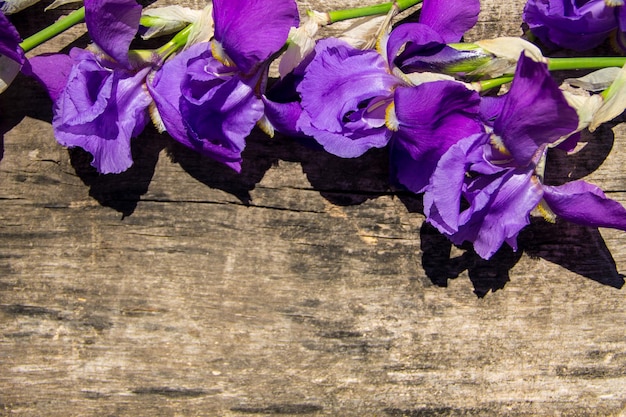 Foto paarse iris bloemen op houten achtergrond met kopie space