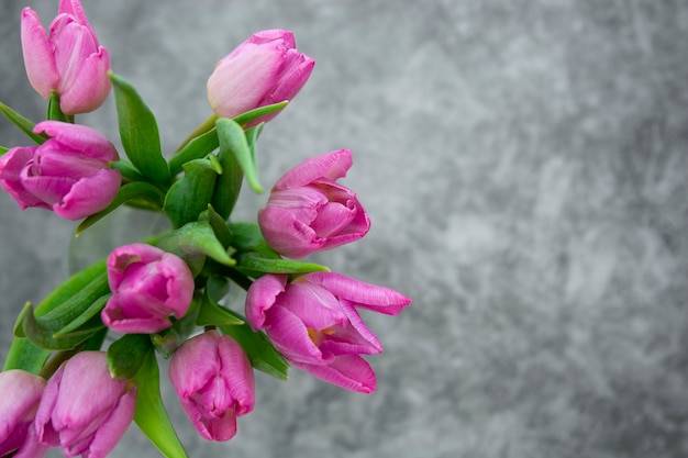 Paarse tulpen boeket. Geïsoleerd op donkere achtergrond met exemplaarruimte.