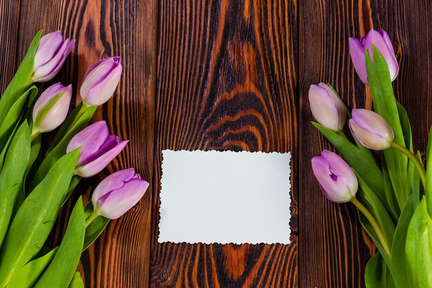 Paarse tulpen op een donkere houten achtergrond en een witte wenskaart