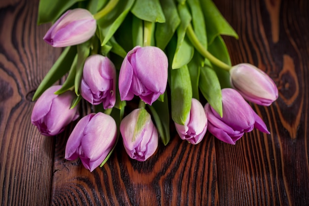 Paarse tulpenbloemen