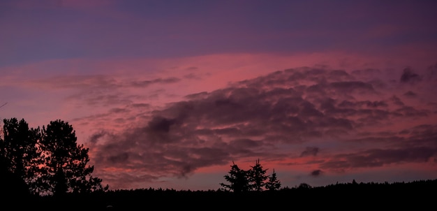 Foto paarse zonsondergang met veel wolken en bomen in de landschappen van oostenrijk.