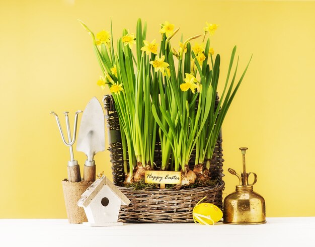 Paasarrangement met prachtige lentebloemen, vogelhuisje en paasdecor