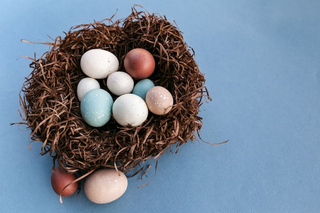 Paaseieren in het nest op blauwe achtergrond met kopie ruimte aan de rechterkant