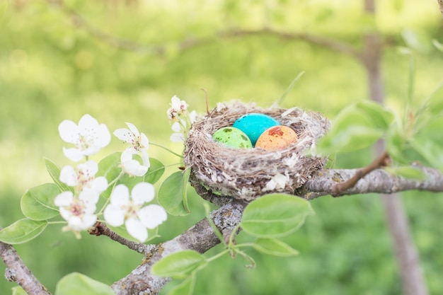 Paaseieren in nest buiten