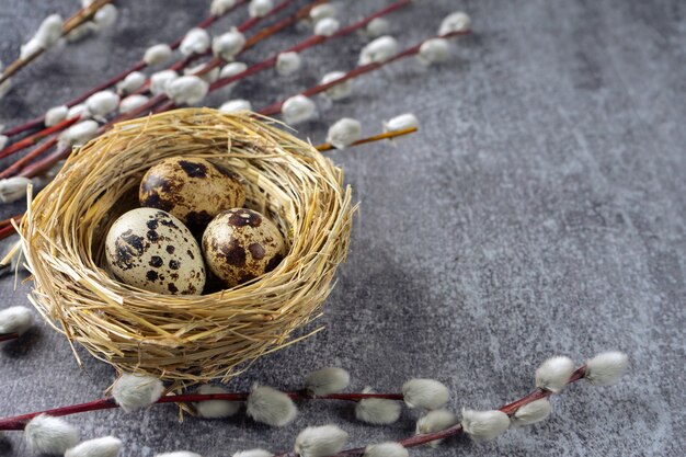 Paaseieren in stro nest en wilgentak met zachte pluizige zilverachtig