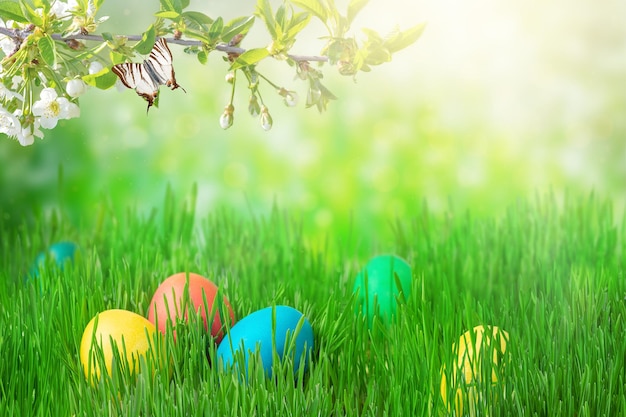 Paaseieren op groen gras achtergrond Eierjacht concept
