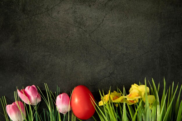 Paaseieren op vers groen gras tegen grijze concrete kleurrijke roze tulpen als achtergrond en gele DA