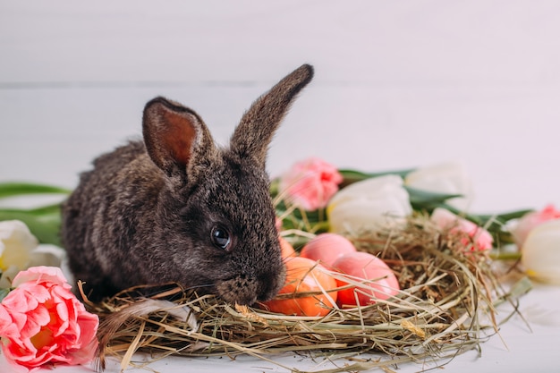 Paashaas met paaseieren met tulpen en een nest van hooi. Positieve lente Pasen samenstelling.