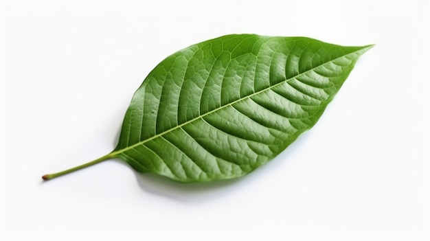 Photo pachira pachygrapsus pinnatifida leaf super macro ai generative
