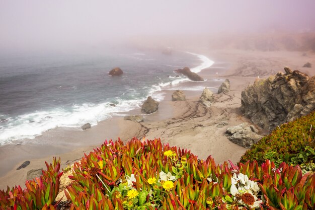 米国カリフォルニア州の太平洋岸