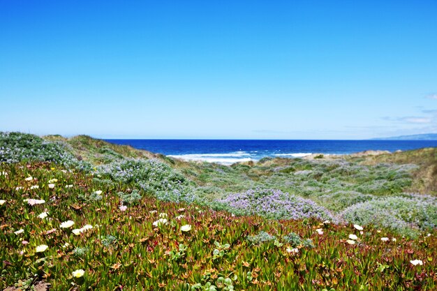 Costa del pacifico in oregon, usa