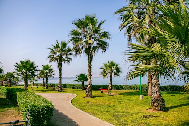 The Pacific Ocean warms the shores of Lima the capital of Peru