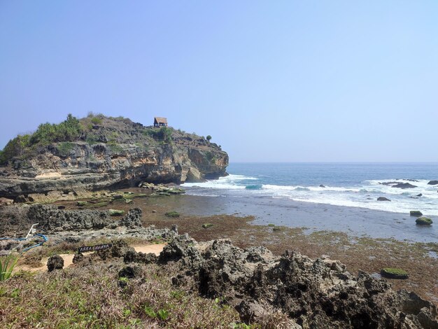 Foto pacitan coral beach oost-java tropisch indonesië