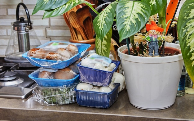 Packaged food is ready for cooking on the countertop in the\
kitchen