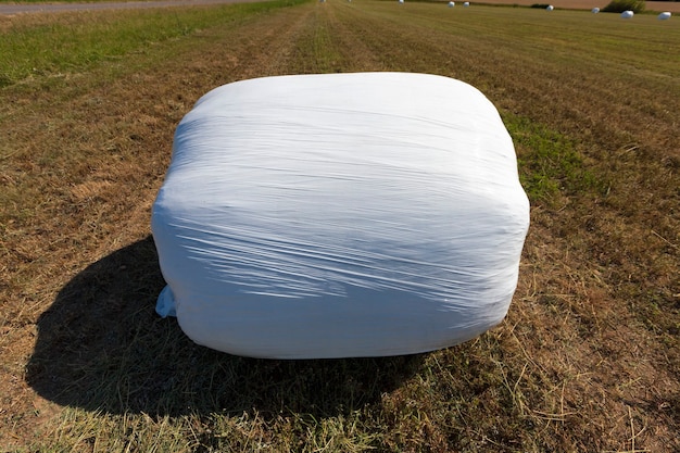 Packed in film grass straw for feeding livestock