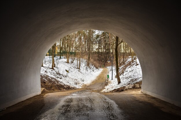 Pad door tunnel naar bos, pad naar bos, tunnel naar lns