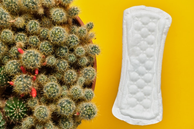 Pad donna accanto a un cactus come un concetto di dolore nel periodo