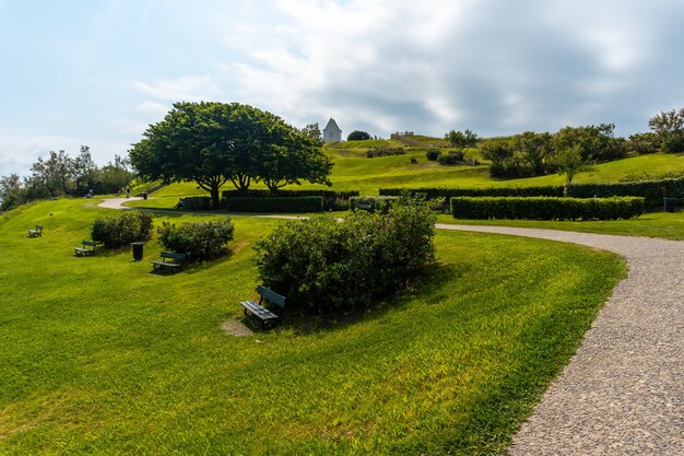 Foto pad in het natuurpark van saint jean de luz genaamd parc de sainte barbe, col de la grun in het franse baskenland