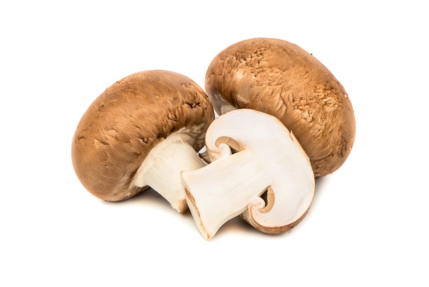 Paddenstoelen koninklijke champignon