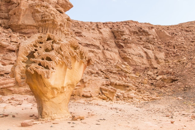 Paddenstoelrots. Egypte, woestijn, het Sinaï-schiereiland, Dahab.