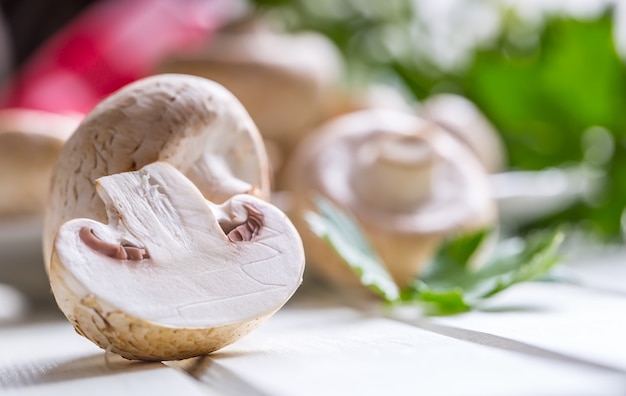 Paddestoel. Champignons in verschillende posities met kruidendecoratie.